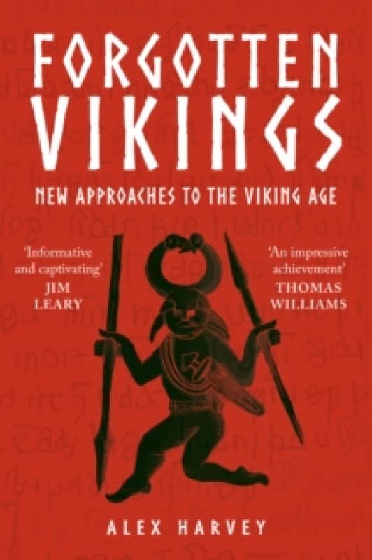 Forgotten Vikings : New Approaches to the Viking Age Paperback / softback