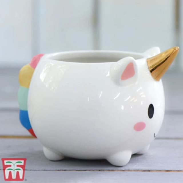 Thompson & Morgan Unicorn Pot With Gold Horn - 1 Pot