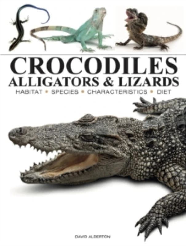 Crocodiles, Alligators & Lizards Paperback / softback