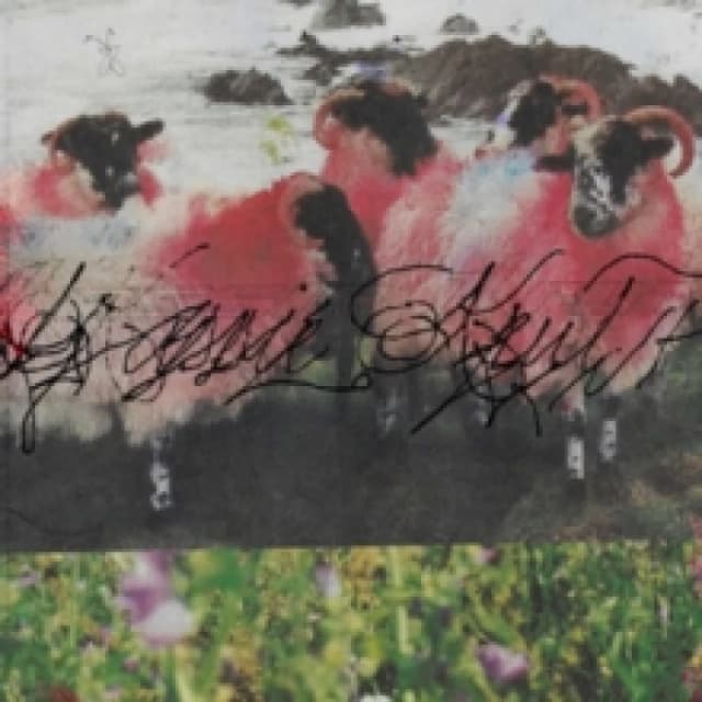 Kassie Krut (Deluxe Edition) Vinyl