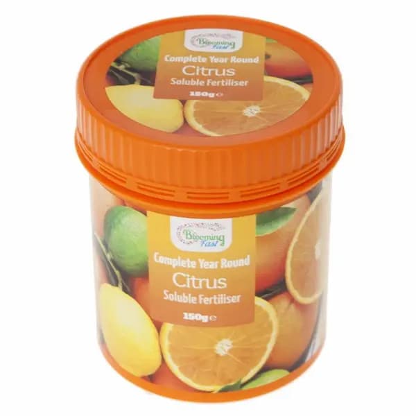 YouGarden Blooming Fast Citrus Feed Soluble 150g tub Gardening Essentials 150g tub None 41886269000