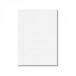 Loose Leaf Paper A4 Quad Ruled Pack of 2500 100102082