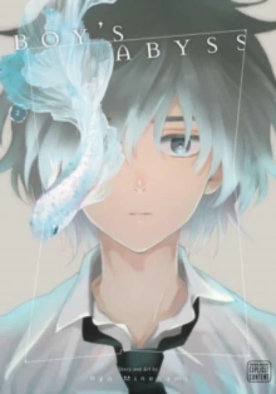 Boy's Abyss, Vol. 2 Paperback / softback