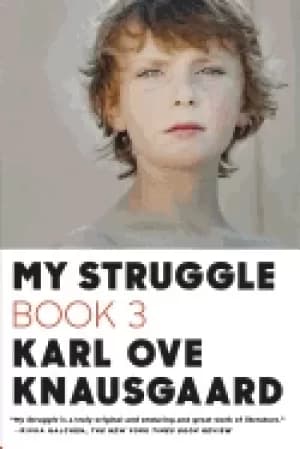 my struggle book 3