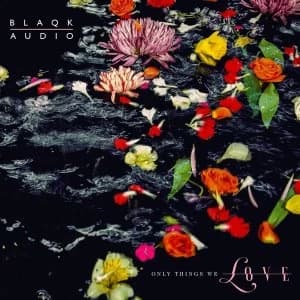 Blaqk Audio - Only Things We Love (Water Picture Disc) Vinyl