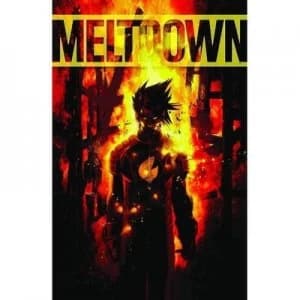 Meltdown by David B. Schwartz Paperback