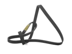 RIDEX V-ribbed belt 305P0427 Serpentine belt,Auxiliary belt MERCEDES-BENZ,ALPINE,A-Klasse (W168),A610 Coupe