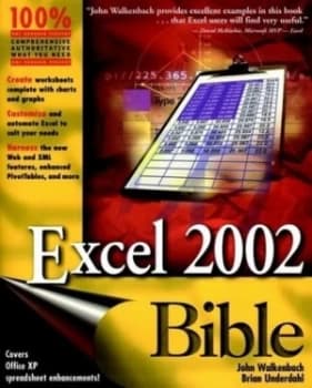 Excel 2002 Bible by John Walkenbach Paperback