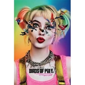 Birds Of Prey - Seeing Stars 61 x 91.5cm Maxi Poster
