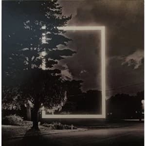 The 1975 - Fallingforyou Vinyl