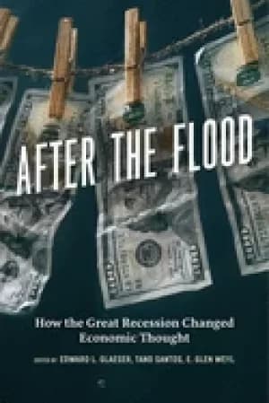 after the flood how the great recession changed economic thought