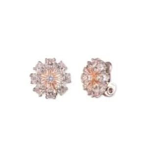 Ladies BASIC AK ROSE GOLD Earrings