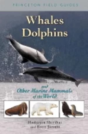 whales dolphins and other marine mammals of the world