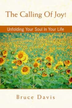 Calling of Joy by Bruce Davis Paperback