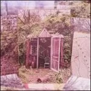 carolina confessions