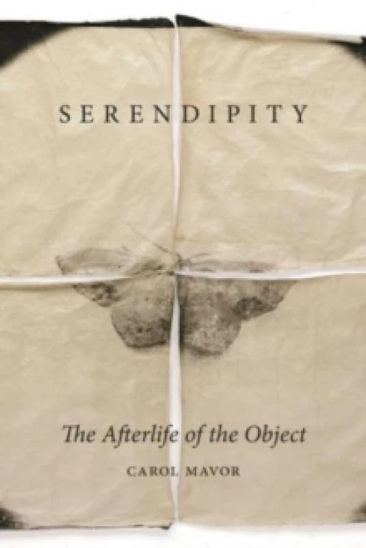 Serendipity : The Afterlife of the Object Hardback
