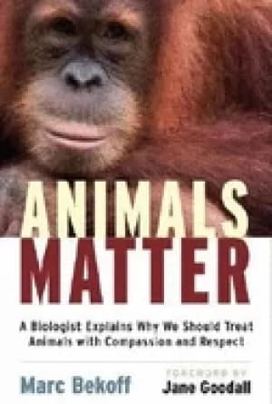 animals matter a biologist explains why we should treat animals with compas
