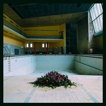 LYR - Call in the Crash Team Vinyl