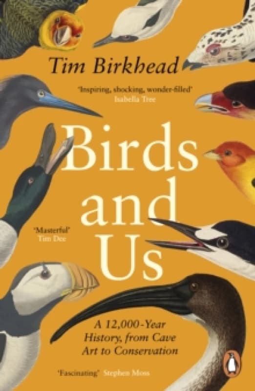 Birds and Us. Paperback. By Tim Birkhead Books