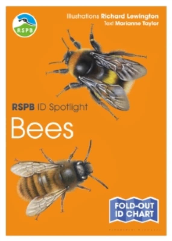 RSPB ID Spotlight - Bees Fold-out book or chart