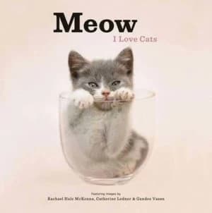 Meow by Rachael McKenna