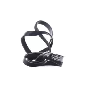 RIDEX V-ribbed belt MERCEDES-BENZ,PUCH,VAUXHALL 305P0243 90528761,0039930896,0089973592 0119975692,0129975892,6039970092,89970192,A0039930896,91126388