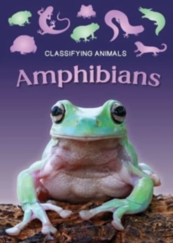 Amphibians Paperback / softback