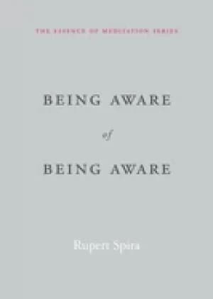 being aware of being aware