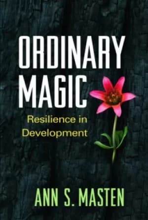 Ordinary MagicResilience in Development