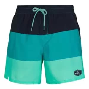 ONeill Swim Print Short - Blue