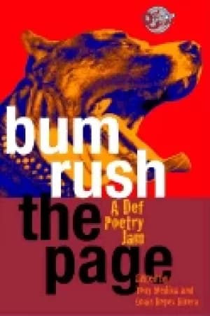 bum rush the page a def poetry jam