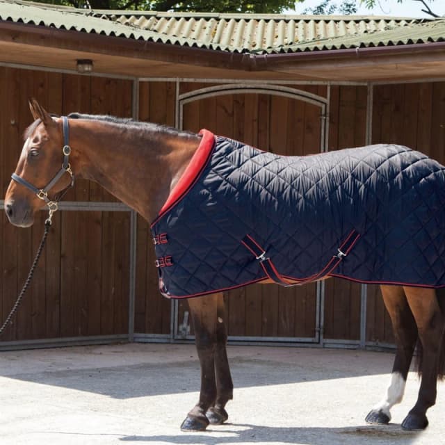 Requisite Essentials Medium Comfort Stable Quilt Navy unisex 5ft9