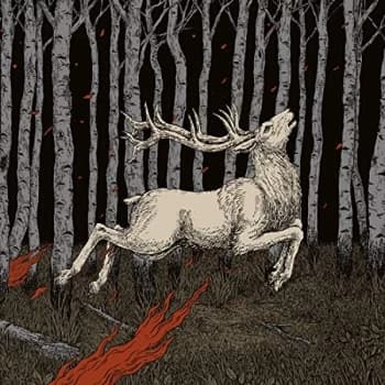 Olhava - Ladoga Vinyl