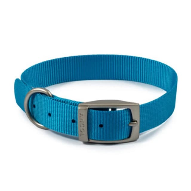 Ancol Viva Weather Proof Lightweight Comfy Buckle Dog Collar Blue