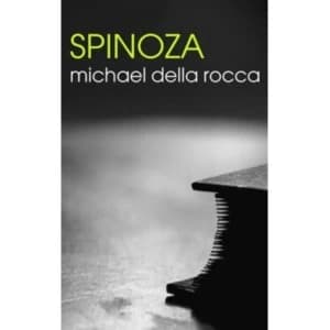 Spinoza by Michael Della Rocca (Paperback, 2008)