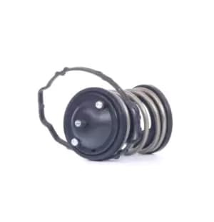 DAYCO Engine thermostat DT1142V Thermostat, coolant,Thermostat BMW,MINI,3 Touring (E91),3 Limousine (E90),5 Limousine (E60),5 Touring (E61)