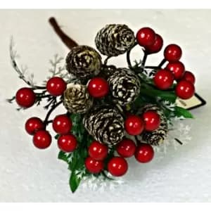 PMS Luxury Cone & Red Berry Pick Floristry Flower Bouquet Arranging