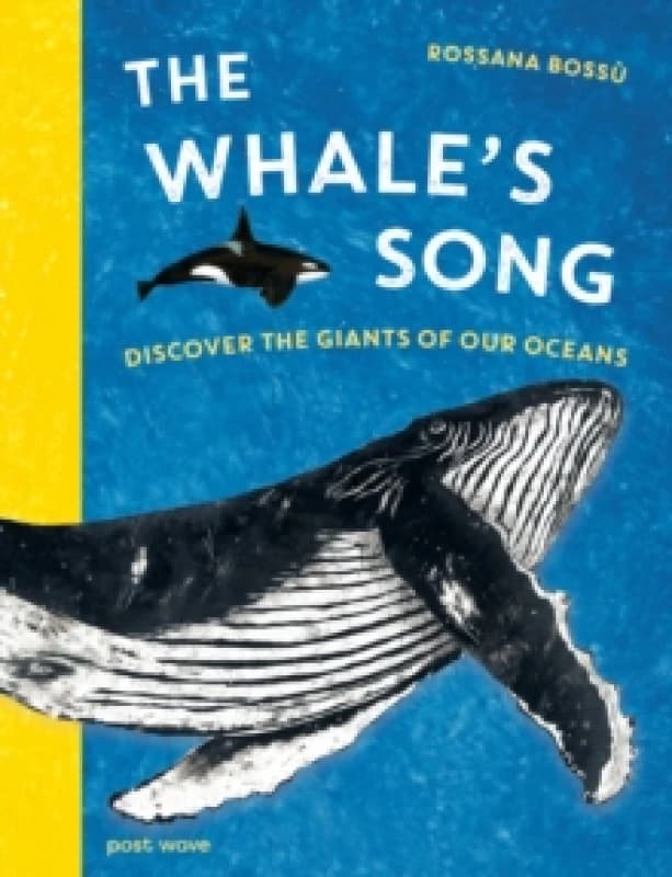 The Whale's Song : Discover the Giants of our Oceans Hardback