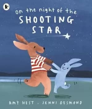 On the night of the shooting star by Amy Hest
