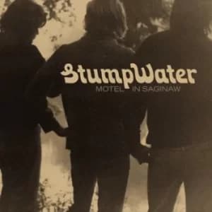 Motel in Saginaw by Stumpwater Vinyl Album