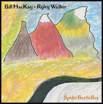 SpiderBeetleBee by Bill MacKay & Ryley Walker Vinyl Album