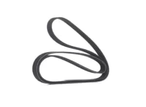 RIDEX V-ribbed belt 305P0308 Serpentine belt,Auxiliary belt OPEL,FORD,FIAT,COMBO Kasten/Kombi (X12),Combo Combi / Tour (X12),TRANSIT MK-7 Kasten
