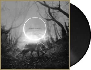 Downfall Of Gaia Atrophy LP multicolor