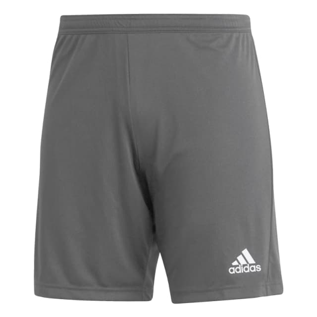 adidas Entrada 22 Shorts Mens Grey male XL