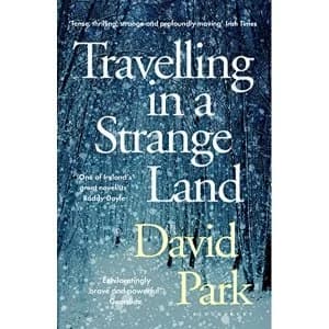 Travelling in a Strange Land Winner of the Kerry Group Irish Novel of the Year Paperback / softback 2018