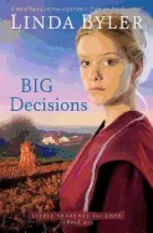 big decisions a novel based on true experiences from an amish writer