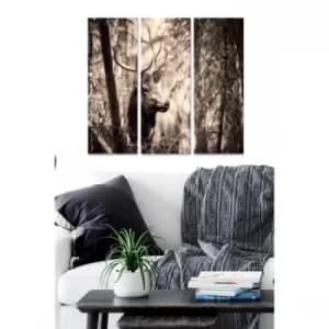 MDF2459902 Multicolor Decorative MDF Painting (3 Pieces)