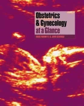 Obstetrics and Gynecology at a Glance by Errol R. Norwitz Paperback