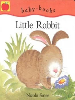 Little Rabbit by Nicola Smee Hardback