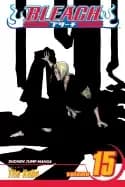 bleach vol 15